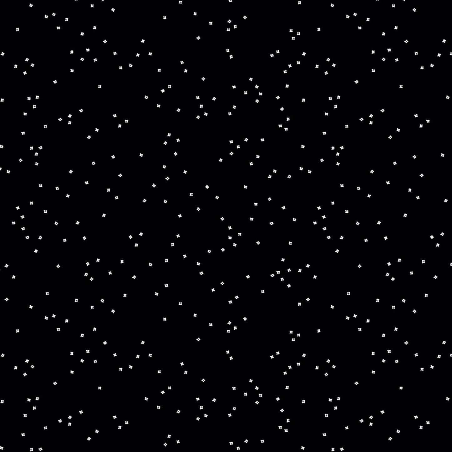 Riley Blake Designs Blossoms - White on Black