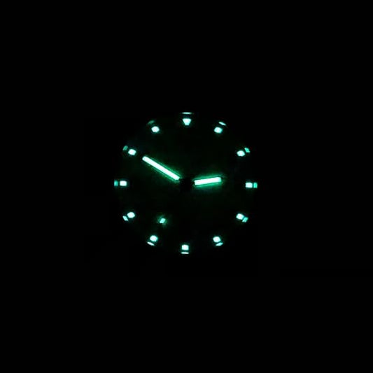 BERTUCCI DX3 Field Watch with sage green dial, matte black 40 mm Unibody case, and sage nylon B-Type band

